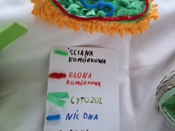 59035551913148863371059787304374115030571145n